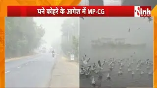MP-CG Winter Update: छत्तीसगढ़-मध्यप्रदेश में और बढ़ेगी ठंड | 15 दिन चलेगी शीतलहर