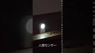 1LEDミニセンサーナイトライト NL53WH