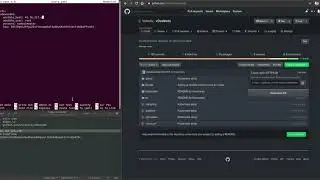 vDex Node Easy Install Version 0.3.4 (Turkish Subtitles available)