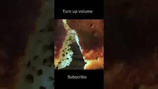 Satisfying burnt pancakes #satisfyingvideo #satisfyingvideo #satisfyingvideos #shorts
