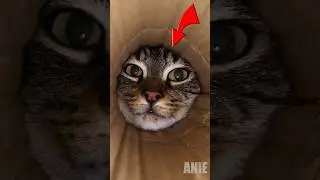 He Left A Hidden Camera Inside This&hellip; 😱📦