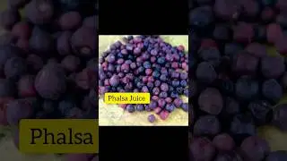Phalsa Juice |Phalsa Sharbat|Quick easy recipe|summer drink #food #fruit #juice