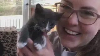 GIVE LOCAL 757: The Cat Corner, Inc.