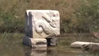 Exploring Miletus, Temple of Apollo@Didyma & Izmir, Turkey with  Prof.Darryl Macer, President,  AUSN