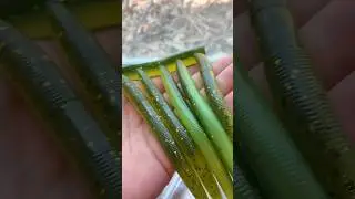 Will this new color catch GIANTS? 🎣 #springfishing #bassfishing #bassboat #fishinglures