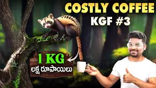 Costliest Coffee Made from Cat Poop | Top Interesting and Unknown Facts In Telugu | KGF#3