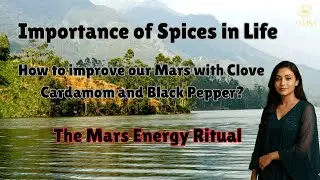 How To Activate Mars Energy with Indian Spices | A Virtual Travel Guide to Kerala