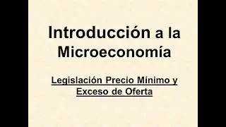 Exceso Oferta y Legislaci&oacute;n de Precio M&iacute;nimo