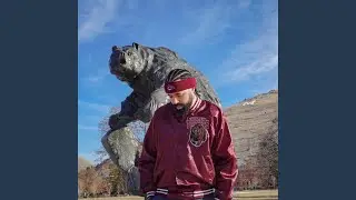 Go Griz Go