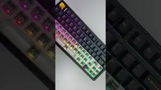 AULA F75 Tri-Mode Gaming Keyboard 🔥 Thunder Black | Wireless RGB Beast
