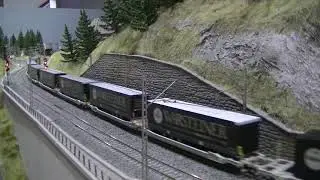 Rocky-Rail Warsteiner Intermodal train Sdggmrs www.rocky-rail.com