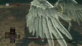 Sanctuary Guardian SL1 NG+7 +0 No Sprint/Roll/Block/Rings/Buffs/Aux Round 3