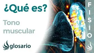 TONO MUSCULAR | Qu&eacute; es, clasificaci&oacute;n, funci&oacute;n y alteraciones