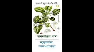 कुचल
