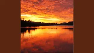 Dream Inspired By Impressions of Evening in Faro, Portugal (Live)