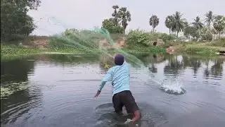Fishing Under the Bridge | Canal Net Fishing l Video|Amazing Net Fishing Under Bridge Canal 