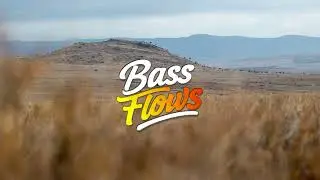 🔊 BAYZY, Oleria - Life Is a Highway | Bass Flows