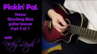 Venus by Shocking Blue - Part 2 (Verse Strumming) - guitar lesson