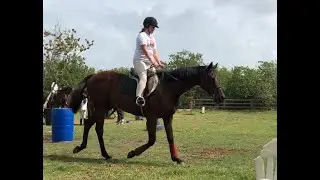 Katie's First Time Cantering On A Horse!