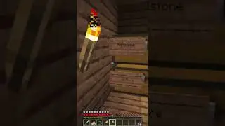 Why does he have to be so mean? 😢 #minecraft #gaming #funny #fyp