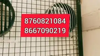 the Re castle ROYALE ENFIELD Accessories DINDIGUL,  624001