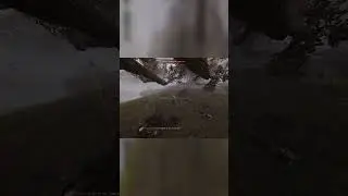 He Had No Faith #shorts #short #shortsviral #viral #funny #funnyshorts #gaming #warhammer