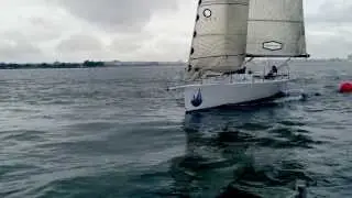 Halcyon Sailing: Race Ready