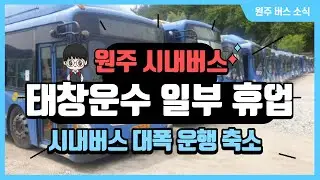 원주 시내버스 50%가 멈춰섰다.. | 태창운수 일부휴업 | 원주 버스소식