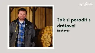 Drátovci z Podkrkonoší | Syngenta Česká republika