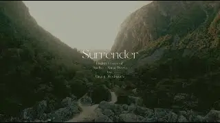 Surrender (