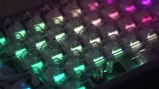 Wuque Studio WS Switch Morandi Linear Keyboard Switches with PMM