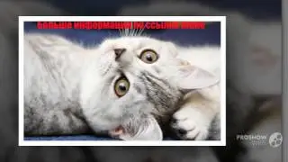 Sun Care Decleor смотреть ролик
