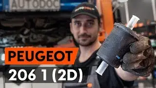 Come sostituire filtro carburante PEUGEOT 206 1 (2D) [VIDEO TUTORIAL DI AUTODOC]