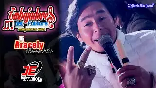 B T Embajadores del Folklor - Mi Aracely (Primicia 2025)