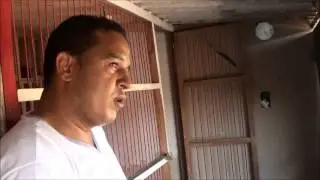 JAMES CONGONHAS MINAS GERAIS REPRODUÇÃO 2013
