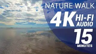 15 Minutes of Nature Walking - Tropical Pacific Coast (4K - Hi-Fi Audio - No Talking)