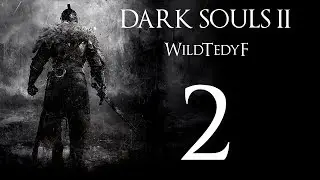 LP DSII s WildTedyF #2