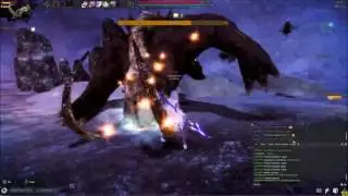 Vindictus - Lynn Gold Einrach Irukul (no-hit)