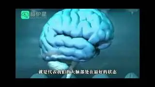 Brain anti-aging technology and beauty therapy equipment has revolutionized the beauty industry.