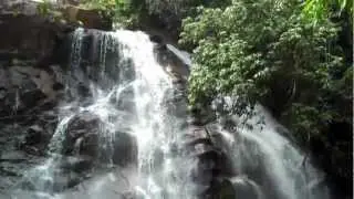 tourist guide to Sirimane falls near Sringeri Karnataka.