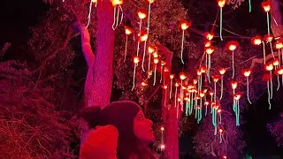 Perth Lightscape show