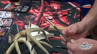 Thorn Archery G1 and Rift Broadheads