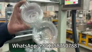 PET Clamshell Containers/Hinged Containers Thermoforming Machine 