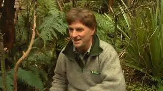 Meet the Locals: Kōkako