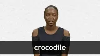 How to pronounce CROCODILE in French
