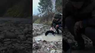 gold digger #gold #golddiggers #goldrush #golddigging #golddigger #goldminer #shorts #shortvideo