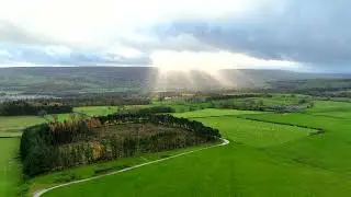 Denton Estate Ilkley Sunburst