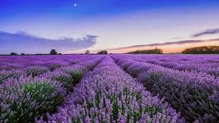 Lavender Hills - Instrumental piano tutorial lesson -  Brian Crain