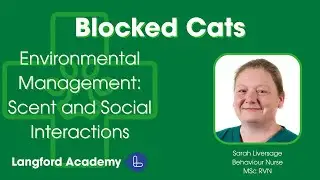 Blocked Cats Part 4: Environmental Management - Scent and Social Interactions
