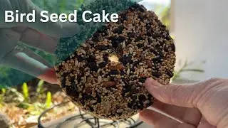 Nut & Fruit Bird Seed Cake Review | Easy Wild Bird Food for Outside Feeders